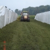 fahrsilo-2-056.jpg