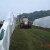 fahrsilo-2-057.jpg