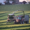 gras-silieren-2012-101.jpg