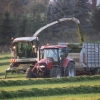 gras-silieren-2012-102.jpg