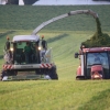gras-silieren-2012-106-2.jpg