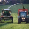 gras-silieren-2012-116.jpg