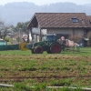 imgp2241.jpg