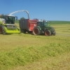 Glück ist Sonnenschein im Frühling