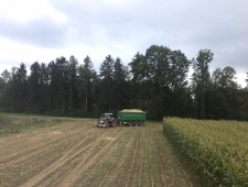 Der Herbst ist des Jahres schönstes Lächeln