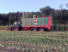 Maissaison 2014