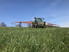 Saison 2019