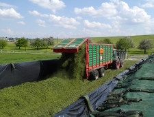 Gras häckseln 2014