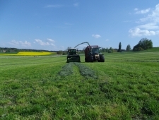 Gras häckseln 2014