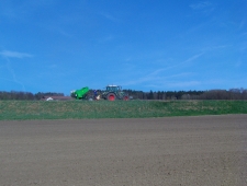 Kartoffeln setzen