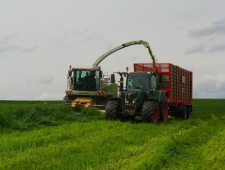 Gras häckseln 2015