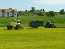 Gras häckseln 2015