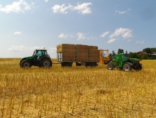 Sommerarbeiten 2015