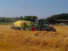 Sommerarbeiten 2015