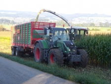 Maissaison 2015