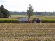 Maissaison 2015