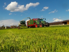 Frühling 2016